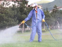 Yağışlar İlaçlamaları Olumsuz Etkiliyor