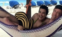 Balayı Twitter'da..