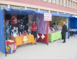 Bitlis’te Mesleki Ve Teknik Eğitim Fuarı İle Bilim Şenliği Düzenlendi
