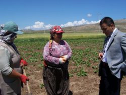 Kaymakam Çapaçı Kadınları Ziyaret Etti