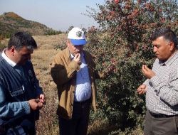 Cumhurbaşkanı Gül, Erciyes'e Ağaç Tohumu Saçacak!