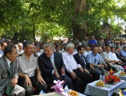 Mut’ta Kayısı Festivali Başladı!