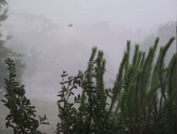 Ceviz Büyüklüğünde Dolu