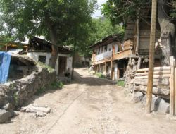 Ana Ve Oğulun Keneden Vefat Ettiği İleri Sürüldü