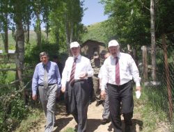 Koyunculuğu Geliştirmek İçin Köy Kalkındırma Birliği Kurdular