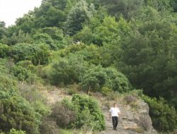 Yamaç Paraşütüyle Ormanlık Alana Düşen Genç Yaralandı