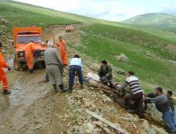 Giresun'da İnek Kurtarma Operasyonu