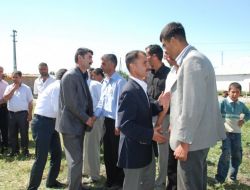 Muş’ta 25 Yıllık Kan Davası Barışla Noktalandı