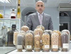 50 Senedir Uyuyan Tohumlar Çimlenmeye Başladı