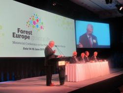 Türkiye, Avrupa Orman Bakanları Konferansı’nda Koordinasyon Komitesine Seçildi