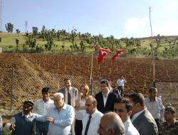 Zivzik Narı Modern Bahçelerde Yetiştirilecek