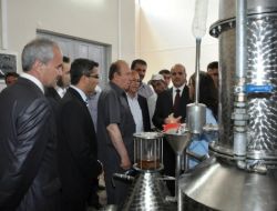 30 Yıl Yurt Dışında Çalıştı Memleketine Gül Ve Kekik Yağı Fabrikası Kurdu