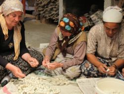 İpekböceği Üretimi, Beypazarı Ve Nallıhan’da Yeniden Hayat Buluyor
