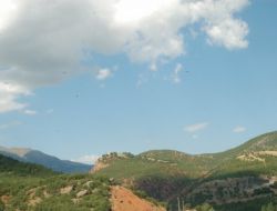 Yol Kesen Teröristler, Karakola Ekmek Götüren Araçları Yaktı