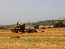 Antalya'da Pamuk Çapalama Ve İşçi Yevmiyesi 27 Lira Olarak Belirlendi