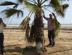 Burnaz Aile Plajı Sezona Başladı