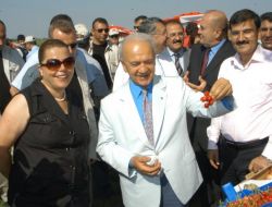 MEYVELER GÖRÜCÜYE ÇIKTI!