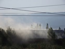 Ayvalık Burhaniye'de Yangın