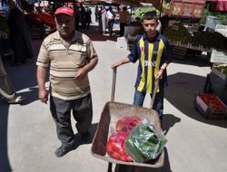 Tatilde Yük Taşıyarak Harçlık Çıkarıyorlar