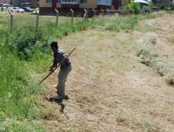 Yağışlar Ot Rekoltesini Yükseltti