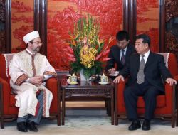 Görmez'den Çin'e Övgü, Avrupa'ya Sitem