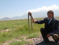 Yolda Kendisine Saldıran Yılanı Öldürdü