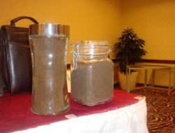 10 Milyon Ton Tavuk Dışkısı Masaya Yatırdı