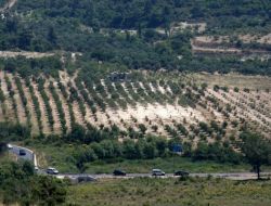 Turkiye Suriye Sınırı