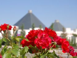 Konya'nin Dört Bir Yanında Güller Açtı