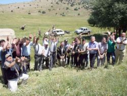 Keklik Popülasyonunun Artırılması İçin 500 Keklik Doğaya Bırakıldı