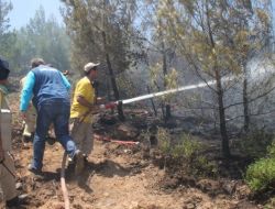 İZMİR'DE ORMAN YANGINLARI