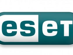 Zararlı Yazılımlar En Fazla Flash Disk’ten Yayılıyor