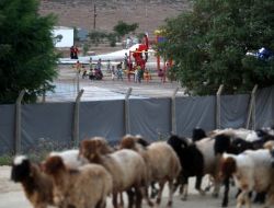 Suriyeli Mültecilerden İzlenimler