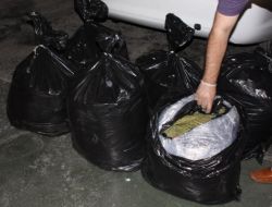 50 Kilo 580 Gram Esrar Maddesi