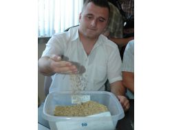 Karaman'da Yılın İlk Mahsulü Arpa, Kilosu 3,5 Liradan Satıldı