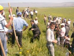 KÖYLÜLER ARASINDA SU KAVGASI