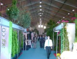 Yalova Çiçekçilik Fuarı Yarın Sona Eriyor