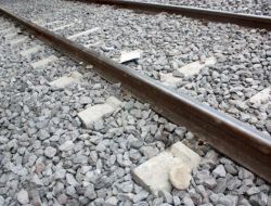 Demir Yolundaki Vidaları Sökerken Yakalandılar