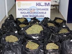 Gaziantep’te 177 Kilo Esrar Ele Geçirildi