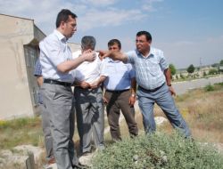 Kapari Elbistan İçin Umut Oldu