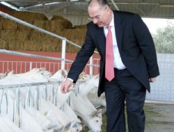 Para Kazanan Yetiştirici Dişi Hayvanını Damızlık Bıraktı