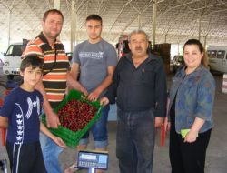 Senirkent'te Kiraz Alımları Başladı