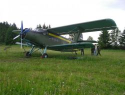 Tarlaya İnen Uçak Çiftçiyi Ezdi