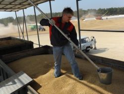 Rusya Tahıl İhracatı Yasağını Kaldırdı