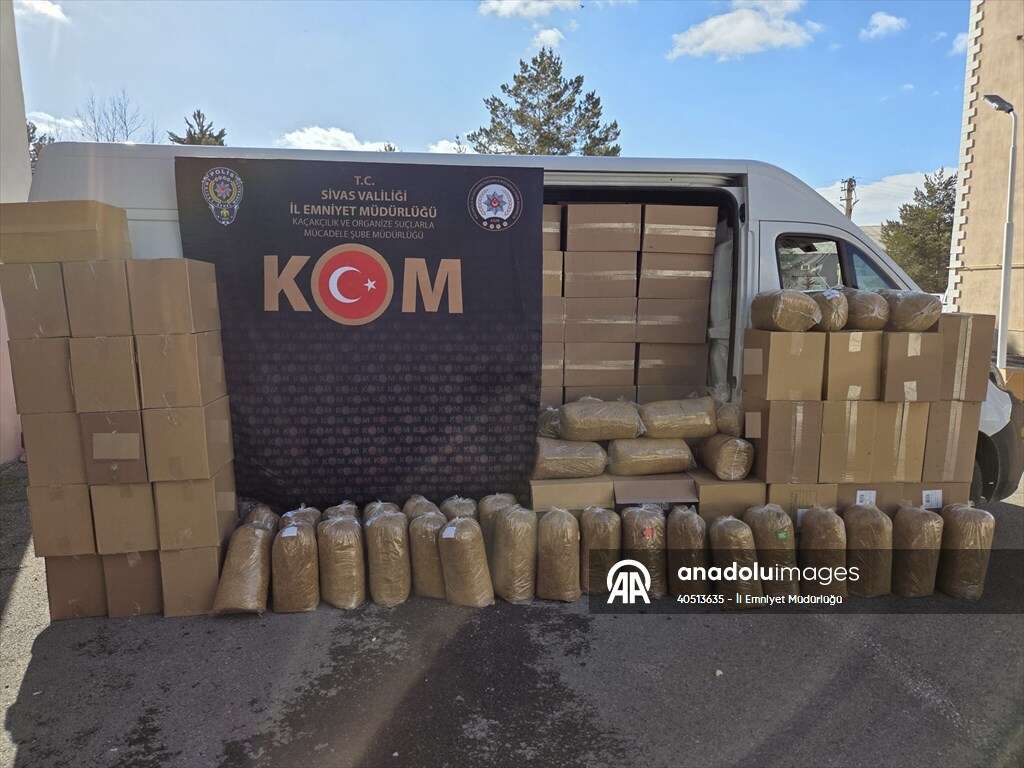 20260210-2-72898387-122093462-preview