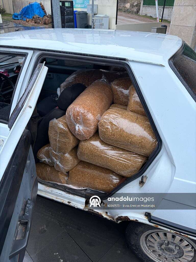 20260317-2-73450046-123289267-preview